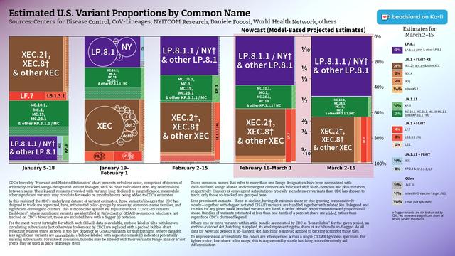 Chart: Estimated U.S. Variant Proportions by Common Name
Sources: Centers for Disease Control, CoV-Lineages, NYITCOM Research, Daniele Focosi, World Health Network, others

[ beadsland on Ko-fi ]

Reskin of CDC's Variants Nowcast, and any significant variants in GISAID not broken out by CDC.

Five bar-style tree-charts, for fortnights through March 2–15. Legend of last fortnight, organized by subheadings of color-grouped families and convergent clusters. Percentages overlay each color key, reflecting share as of most recent tree-chart.

Essentially all WHO-Vaccine-Target JN.1. JN.1.11 accounts for over three fifths; JN.1.11 + FLiRT for near half.

For fortnight of 1/19–2/1, packed bubble charts fill single-variant tiles, indicating diversification of those variants (per GISAID) that wouldn't otherwise be apparent from CDC's Nowcast.

Legend:

LP.8.1 [purple]:
47% - LP.8.1.1 / NY† & other LP.8.1

JN.1 + FLiRT-KS [browns]:
26% - XEC.2†, XEC.8† & other XEC
2% - XEC.4
2% - XEQ
⅒% - other KS.1

JN.1.11 [greens]:
¾% - KP.3
15% - MC.10.1, MC.28.1, MC.19, MC.1 & other KP.3.1.1 / MC

JN.1 + FLiRT [reds]:
4% - LF.7
3% - LB.1.3.1 / NL
0% - LB.1

JN.1.11 + FLiRT [blues]:
½% - XEK
0% - KP.2.3 & KP.1.1.3 / LP

Other [greys]:
½% - JN.1.16
⅐% - other WHO-Vaccine-Target JN.1
⅒% - Other (not specified)

† Dagger variants are not broken out by CDC, yet represent a significant share of recent GISAID sequences.