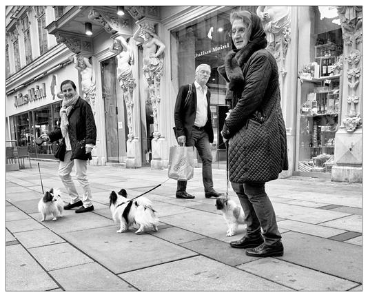 The image shows a street scene with four individuals and two small dogs, captured in black and white. In the foreground, two women appear to be stopping or speaking while holding two small dogs on leashes. Behind these two, another man, carrying a shopping bag, is walking past them and appears to be focused on moving forward. Architecturally ornate buildings, possibly with sculptures, line the street, providing an aesthetically rich backdrop to this everyday moment.