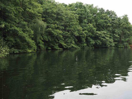 The image shows a tranquil scene of a body of water, likely a lake or river, bordered by dense, lush greenery. The green trees and foliage are reflected in the calm water, creating a serene and natural atmosphere. The sky appears overcast, adding a soft light to the scene.