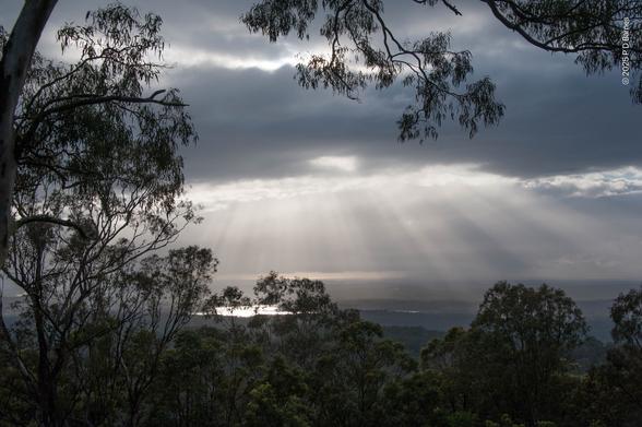 High view over a plain lit by a line of beams bursting through an otherwise dark and cloudy sky. A dam in the distance glistens in the light, while other parts of the plains not lit are quite dark. The whole scene is viewed through the crowns of a number of eucalypts a little way down a hill from the viewpoint, and is also framed across the top by the high branch of a very close eucalypt.