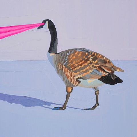 a goose is walking against a simple background, with pink laser beams?  coming out of its eyes