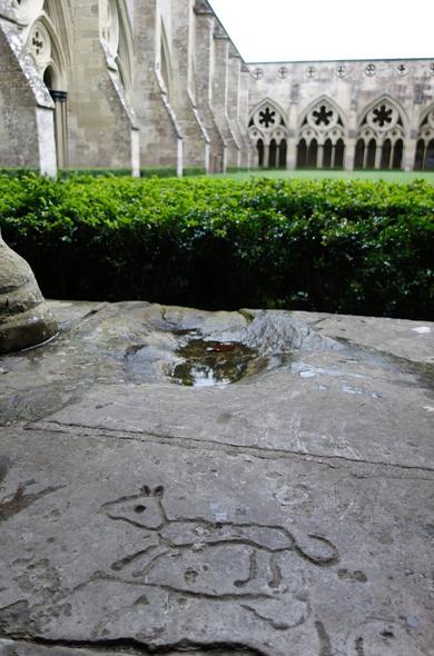 A slightly low-angle shot focuses on a weathered grey stone slab in the foreground, upon which a simple, etched drawing of a small quadruped, possibly a cat, is visible. The stone is damp and reflects a small puddle of water. Behind the stone slab, a neatly trimmed, low green hedge separates the foreground from a paved area with arched openings and decorative asterisk-like carvings on the upper level of the Cloisters of Salisbury Cathedral. To the left, a portion of another grand stone structure with pointed arched windows is partially visible. The overall lighting suggests an overcast day, casting soft shadows. The scene evokes a sense of history and quiet contemplation within the grounds of an old building.