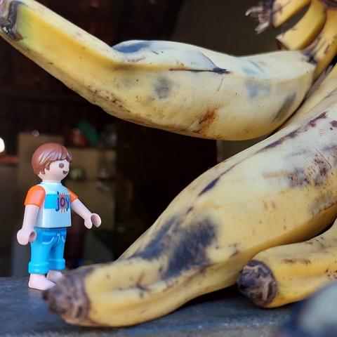 Criança playmobil junto a um cacho de bananas da terra enorme.
