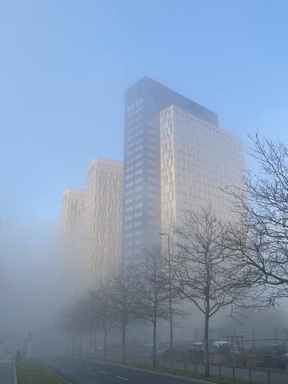 Offices of the European Court of Justice rising above the morning fog. Kirchberg, Luxembourg, March 2025.
