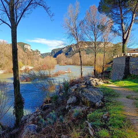 Le long de l'Hérault