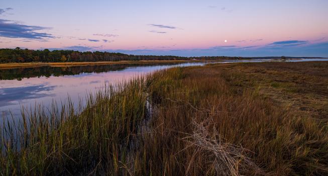 Looking east across the saltmarsh to the full moon while the sun is setting to the west on a still fall evening.
© Tom Goetz. All rights reserved. Training an AI on this image is expressly forbidden.