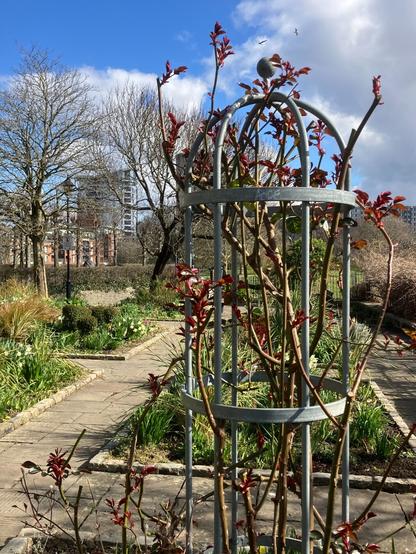Plant in metal frame with flower beds, paths, trees and wall behind