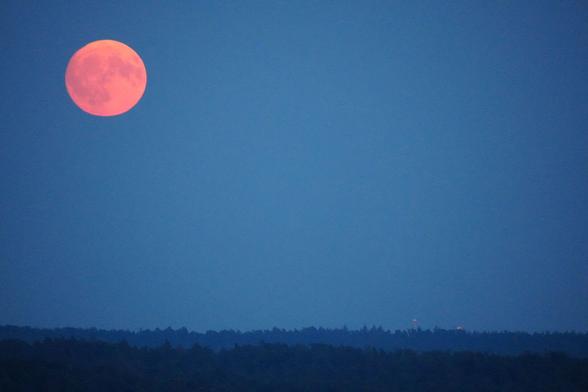 rotoranger Mond am blauen Himmel über Wäldern hinter denen man noch zwei Windräder aufgrund ihrer Lichter erahnen kann