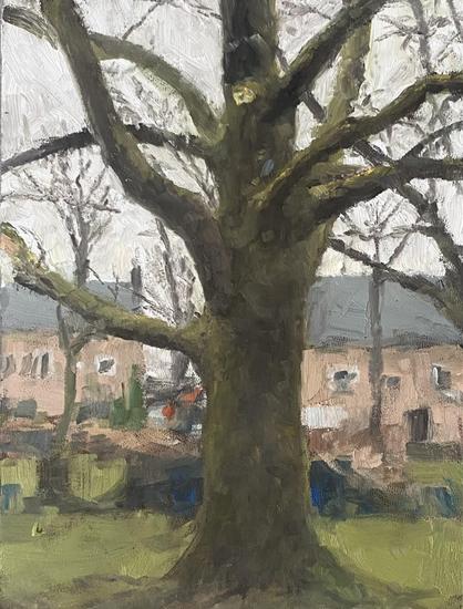 Allaprima Oilpainting made on location of a moss covered tree. The background is kept really rough design wise but the colors are kept quite realistic. 18 x 24 cm made in 3 hours.