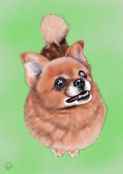 Retrato digital de un perro pomerania