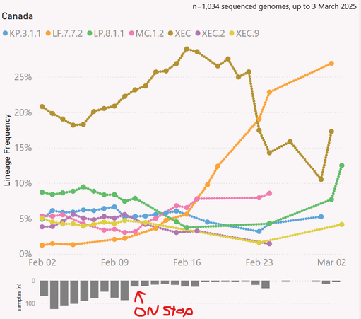 A line graph showing the lineage frequency of the top 7 COVID-19 genomes in Canada, up to March 3, 2025. The graph includes data from 1,034 sequenced genomes. The x-axis represents dates from Feb 2 to March 3, while the y-axis represents lineage frequency percentages from 0% to 29%. Different colored lines represent different genome lineages with LF.7.7.2 as most sequenced. Below the main graph, there is a bar chart showing the number of samples (n) collected each day, ranging from 0 to 100 samples, where is drops off drastically after Feb. 12, 2025 when Ontario stopped submitting genomic sequencing.