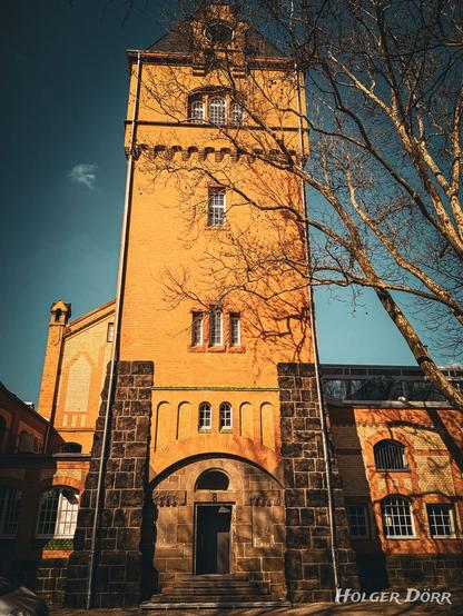 Historisches Gebäude des „Alten Schlachthofs“ in Gießen, aufgenommen in warmem, goldenen Licht. Der markante Turm mit gelblichen Ziegelsteinen und dunklen Natursteinelementen ragt in den Himmel. Die Fenster und architektonischen Details verleihen dem Bauwerk einen imposanten, fast mittelalterlichen Charakter. Im Vordergrund stehen kahle Äste eines Baumes, die ein filigranes Muster vor der Fassade zeichnen. Der Himmel ist klar und blau, was einen starken Kontrast zur warmen Farbgebung des Gebäudes schafft