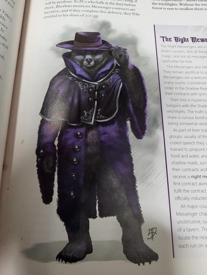 A bearfolk shadow messenger from the Plane of Shadow.