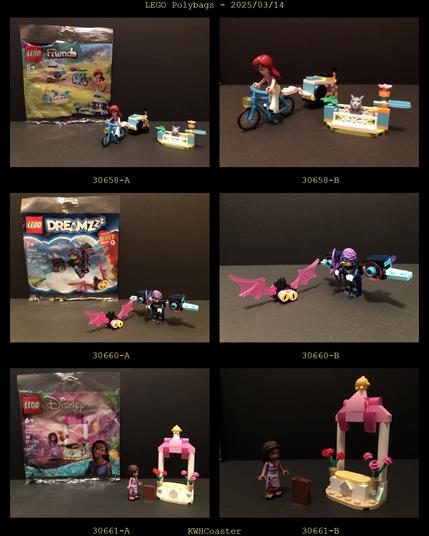 Polybag pics and assembled pics

30658 Friends - Mobile Music Trailer
30660 Dreamzzz - Zoey's Dream Jet Pack Booster
30661 Disney - Asha's Welcome Booth