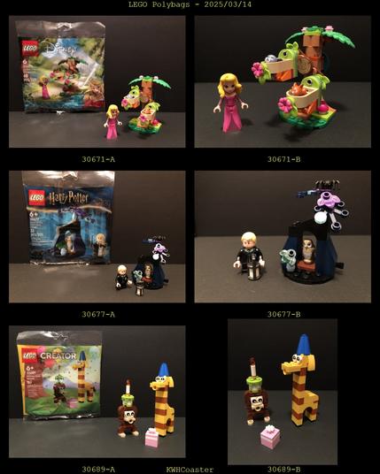 Polybag pics and assembled pics

30671 Disney - Aurora's Forest Playground
30677 Harry Potter - Drace in the Forbidden Forest
30689 Creator - Birthday Party Animals
