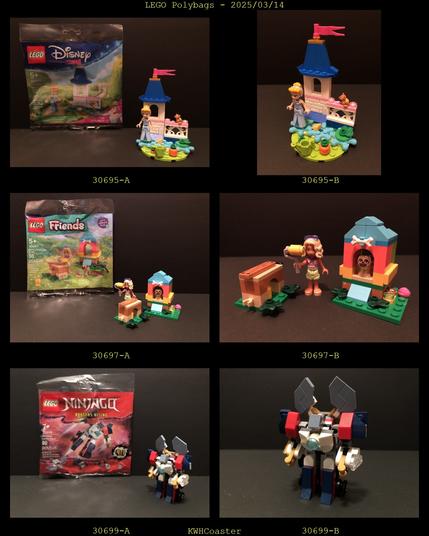 Polybag pics and assembled pics

30695 Disney - Cinderella's Mini Garden Castle
30697 Friends - Nova's Doghouse Build
30699 Ninjago - Mini Nija Combo Mech