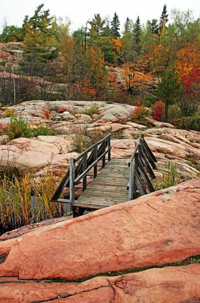 Pink granite rock with wooden bridge, reeds, trees with fall colored leaves and pine trees in vertical
