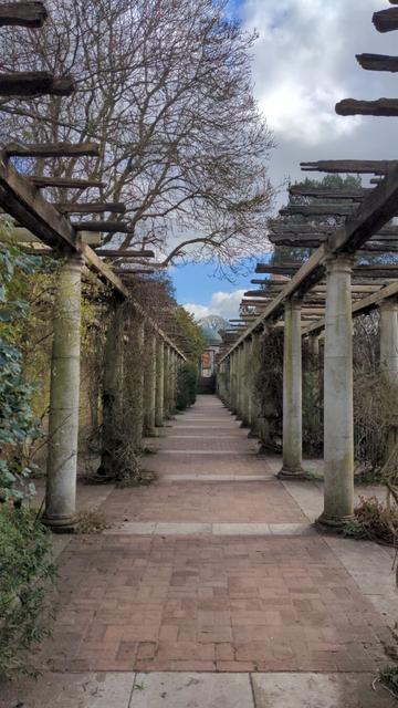 An old-looking pergola. Most of the pillars are bare.