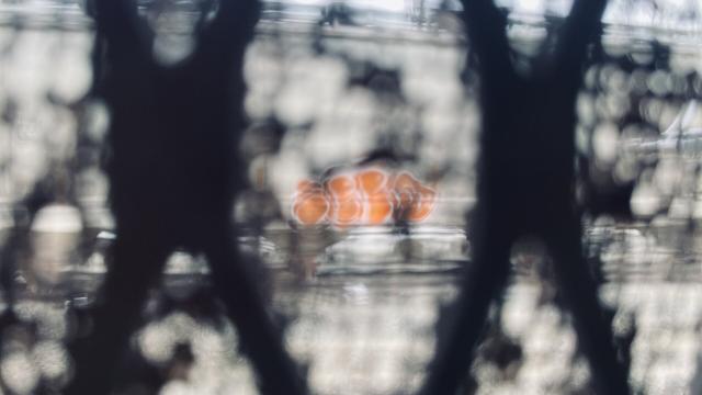 Train car graffiti through a wire mesh