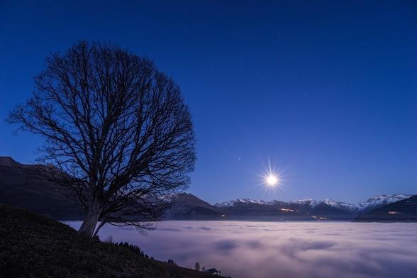 Photo d'un paysage de montagne nocturne.
Au premier plan tout à gauche on voit un arbre sans feuilles. Le tronc est court et incliné vers la droite. Le branchage a une forme arrondie.
Juste à droite la vallée est occupée par une mer de nuages compacte et éclairée par la pleine lune.
L'horizon est fermé par des montagnes, les sommets sont saupoudrés de neige et quelques villages sont éclairés sur leurs flancs.
Le ciel est bleu sombre, parsemé d'étoiles qui brillent très faiblement.
Assez bas sur l'horizon, au raz des montagnes, la pleine lune brille fort, un effet d'optique lui donne une forme d'étoile aux multiples branches.
-
Photo of a mountain landscape at night.
In the left foreground is a leafless tree. The trunk is short and sloping to the right. The branches are rounded.
Just to the right, the valley is occupied by a compact sea of clouds, illuminated by the full moon.
The horizon is closed in by mountains, the peaks dusted with snow and a few villages lit up on their flanks.
The sky is a dark blue, dotted with faintly shining stars.
Quite low on the horizon, just below the mountains, the full moon shines brightly, an optical effect giving it the shape of a multi-pointed star.