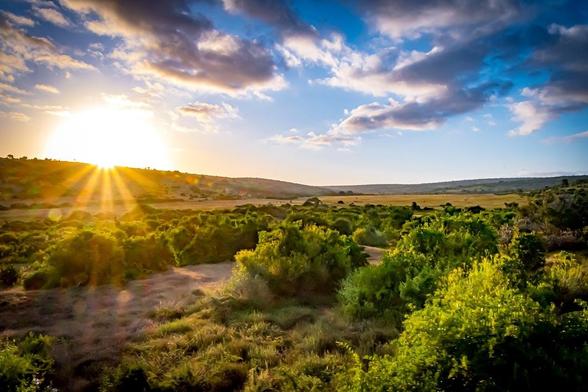 This image depicts a scenic landscape with a sunrise or sunset casting light across a field filled with shrubs and greenery. The sky is partly cloudy with a mixture of sun rays and blue sky creating a vibrant and serene atmosphere.