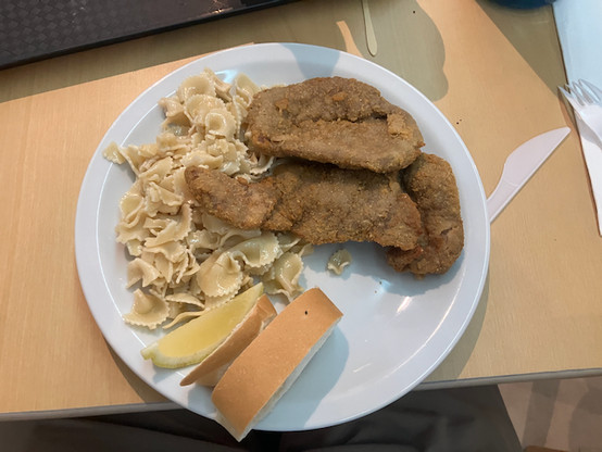 tasteless-looking schnitzel and noodles