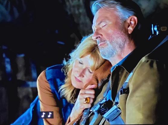 Laura Dern as Ellie Sattler curled up sleeping comfortably on Sam Neill (Grant's) shoulder. He's asleep too. He's shoulder strapped to an airplane seat.
