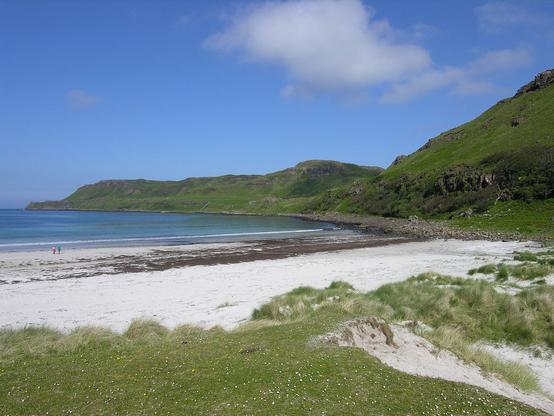 The outstanding beach at Calgary Bay. The image shows a view over grass with flowers to a broad beach of white sand facing to the right, out to sea. There are lines of seaweed above the waterline and two people are on the beach. Beyond the beach a grassy headland curves around to the left. The sky is mainly blue.