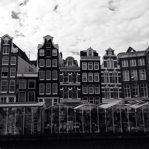 Bloemenmarkt, Amsterdam.