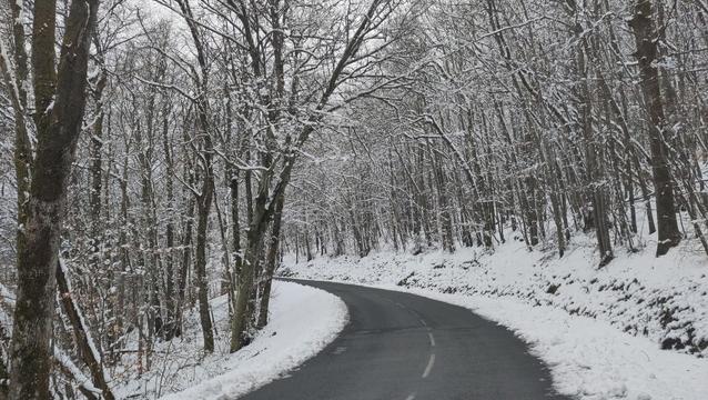 Route en sous bois sous les frondaisons avec les bas côtes et les arbres couverts de neige