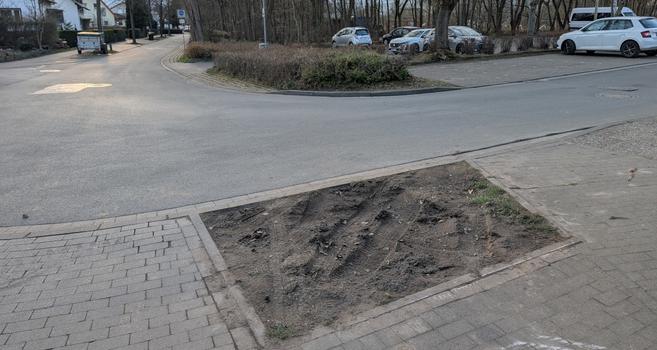 Eine leere Baumscheibe in der Kurve einer Straße. Die Erde ist aufgewühlt, man sieht keinen Baumstumpf mehr. Im Hintergrund sieht man einen Parkplatz.