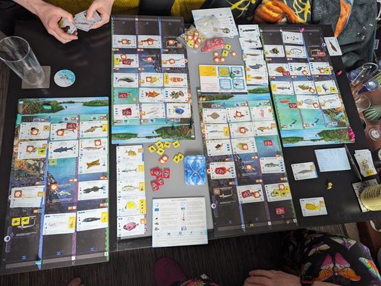 A half played Finspan board game. Lots of colourful fish cards.