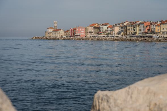 Image gallery image