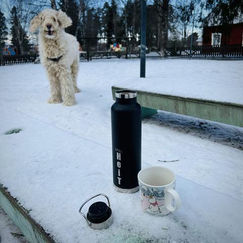 A snowy bench with a thermos and a moomin mug. A big, fluffy dog in the background. The thermos has the text ”Still heit”.
