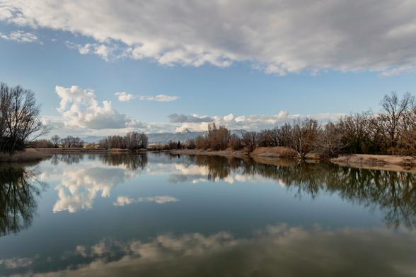 A small reservoir can be seen. Around this reservoir, various leafless trees can be seen. Above, a sky with many white clouds reflected in the water of the reservoir.