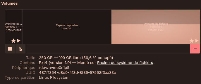Liste des volumes disponibles sur mon NVMe : 
- une partition FAT de 105Mb montée sur /boot/efi
- un espace libre de 250Gb
- une partition ext4 de 250Gb montée sur la racine