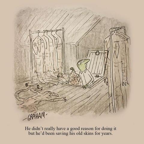 A cartoon illustration of a lizard in his attic looking to hang a shed skin along with his others. Caption reads "He didn't really have a good reason for doing it but he'd been saving his old skins for years."