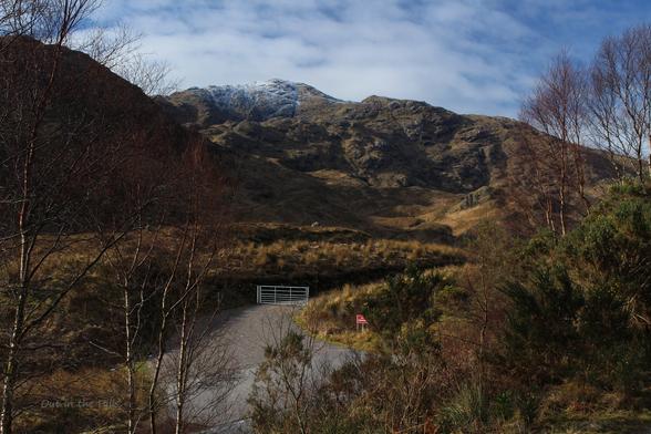 Framed by birch trees, looking across a road with a gate to a rocky hill, there is some snow at the top. Blue sky with clouds.