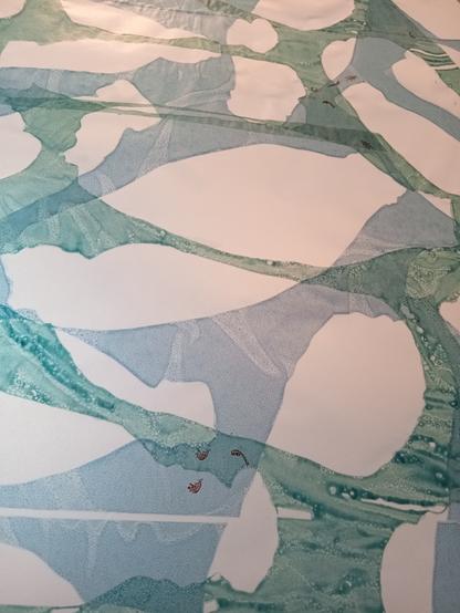 My snap of one part of the 'Drink It In' artwork by Joanna Rucklidge. 
A bluey green experimental patterned print juxtaposes tiny aquatic larvae and fluvial pebble-like forms which on closer inspection are the outlines of littered plastic bottles collected from a short stretch of the River Don.