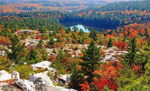 Looking down from the top of the white granite mountain with a lake, pine trees and colourful fall foliage on trees and bushes