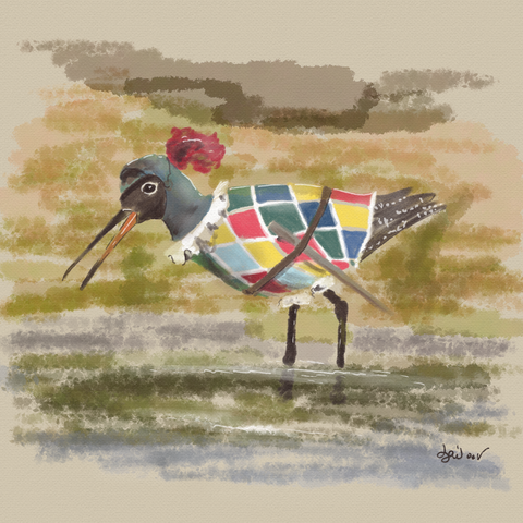 Aquarelle numérique d'un oiseau limicole (petit échassier à long bec fin) les pieds dans l'eau. L'oiseau porte un heaume d'armure ouvert, une fraise et un costume bariolé avec des losanges colorés.