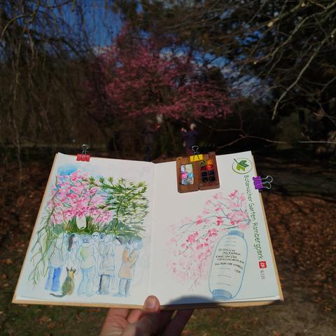 Skizzenbuch im Park vor dem blühenden Baum.