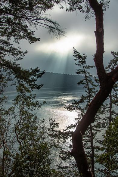 Radiant sunbeams shining on the water below framed by foliage of silhouetted trees at Deception Pass, Washington
