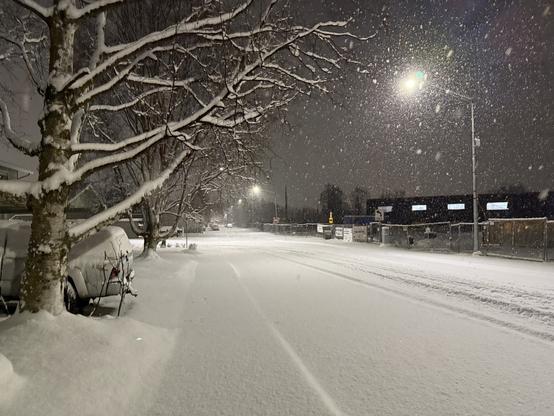 nighttime scene heavy snowfall covering a residential street, snowflakes illuminated by a street light 3 days ago