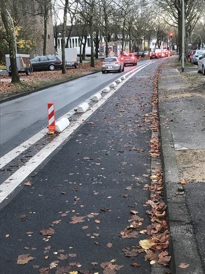 Zwei Fahrstreifen, getrennt durch zwei dicke, weiße Linien mit weißen  Betonklötzen dazwischen. Auf der linken Spur sieht man im Hintergrund Autos. Rechts liegt viel Laub.