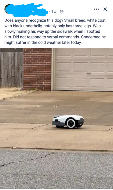 Photo of a robot lawnmower 

"Does anyone recognize this little fella? Didn't respond when I called for it. Afraid it will be cold when the temperature drops later today"