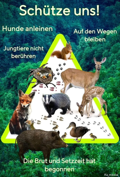 Schützt uns... Wildtiere