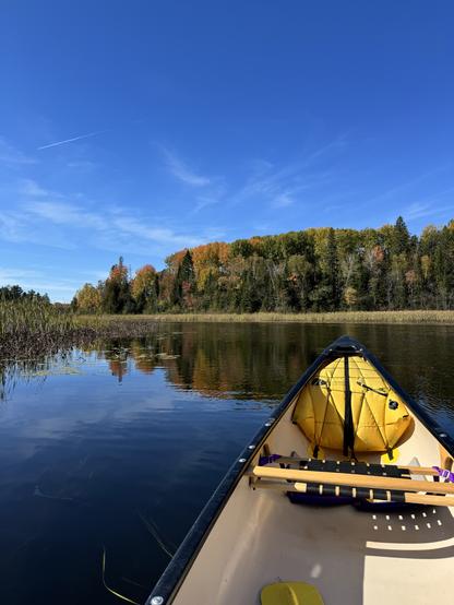 Canoeing in Northern Ontario near Barry’s Bay.  The water is reflecting trees and grasses near the shoreline in the distance.