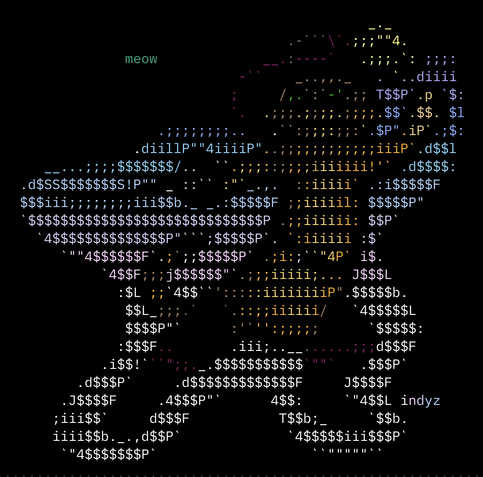 ASCII art of Puss In Boots, holding a sword in a dramatic fencing stance.