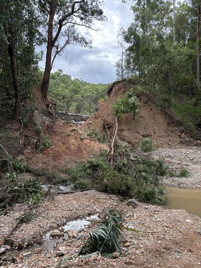 A quarry dam broken by cyclone alfred - with trees and rubble strewn into the creek.